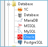 Oracle Backup Software