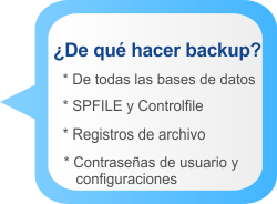 De qué hacer backup: de todas las bases de datos, SPFILE y Controlfile, registros de archivo, contraseñas de usuario y configuraciones.