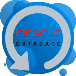 Backup de Oracle con Handy Backup