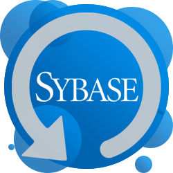 Sybase Database Backup Software