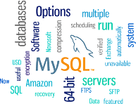 MySQL Backup Features