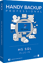 Bundle: Professional + MS SQL Server