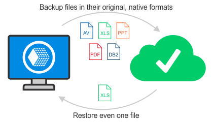 Native Original of Google Backup Files