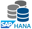 SAP HANA Backup and Recovery
