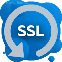 Database backup via SSL