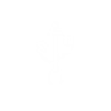 USB Connection Icon